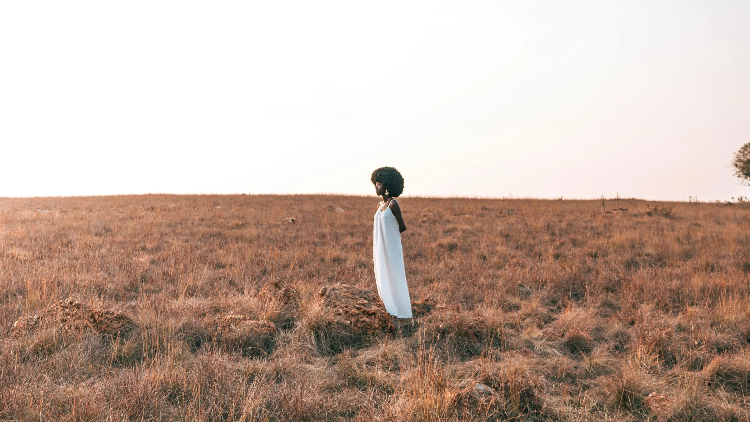 A figure stands in a golden field beneath a hazy sky — Limpopo, South Africa