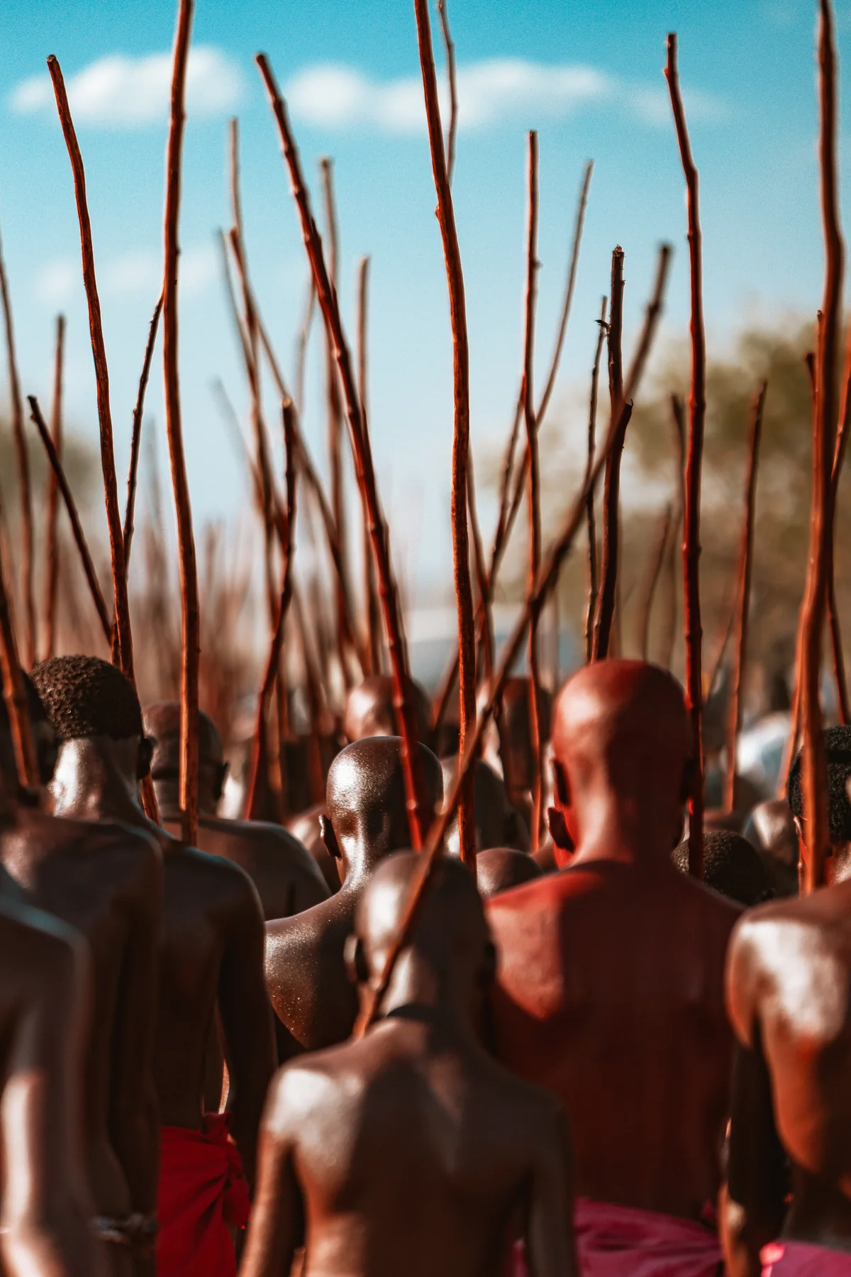 Initiates carrying tall sticks against a bright Limpopo sky